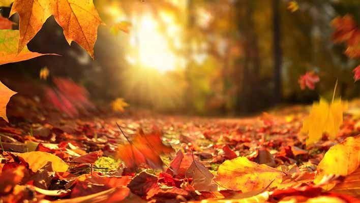 DETOX DESPUES DEL VERANO